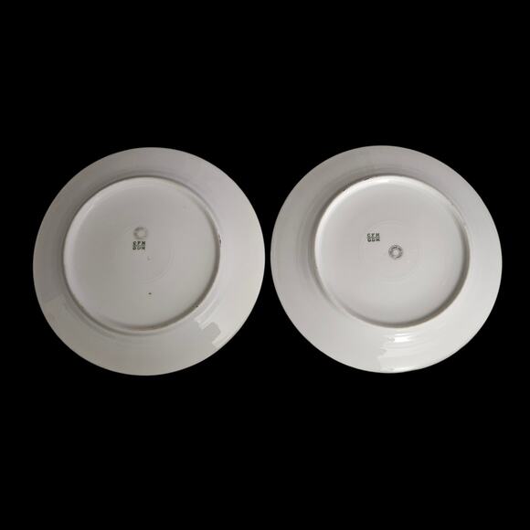 Charles Field Haviland CFH GDM Limoges Floral Salad Plates Set of 2